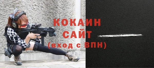 стаф Арсеньев