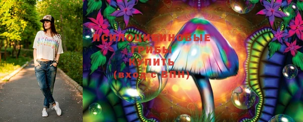 бошки Алзамай