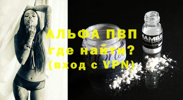 стаф Арсеньев